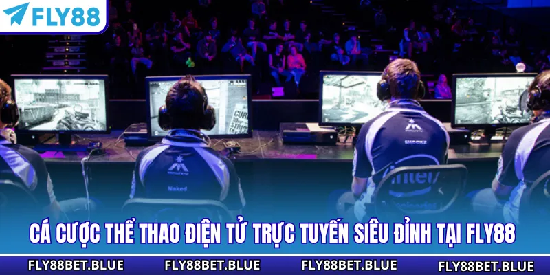Cá Cược Thể Thao Điện Tử Trực Tuyến Siêu Đỉnh Tại Fly88