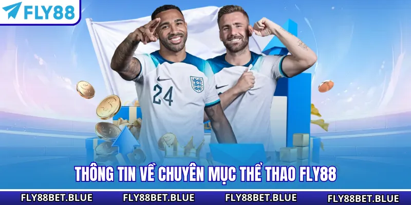 Thông tin về chuyên mục thể thao Fly88